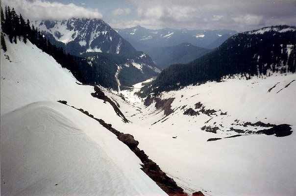 Nisqually Bridge 