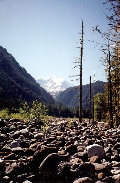 Carbon River