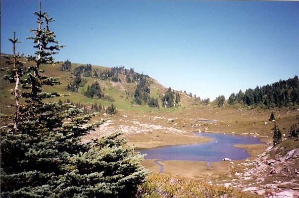 Tyee Lake 