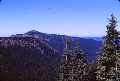 sourdough mountains