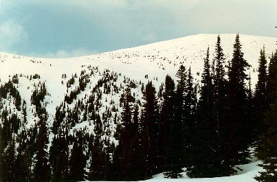 Goat Island Mountain