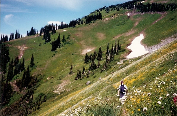 Tatoosh Peak trail 