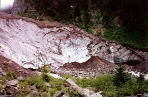 Carbon River Glacier