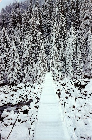 Carbon River Suspension Bridge