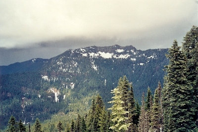 Tolmie Peak 