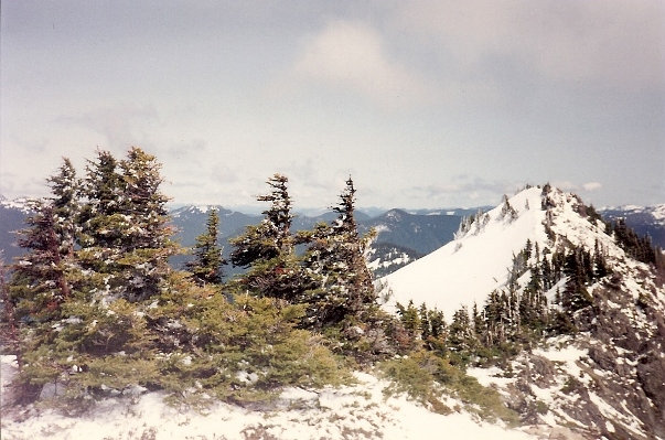 Tolmie Peak highpoint