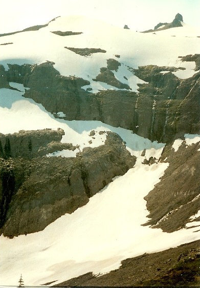 Ohanapecosh Valley headwall