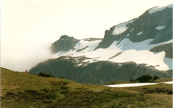 Ohanapecosh Valley 