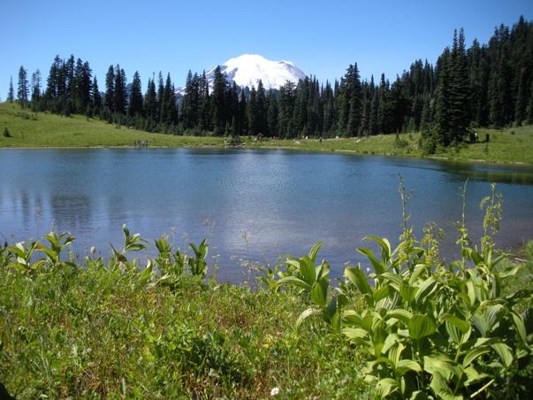 Mount Rainier