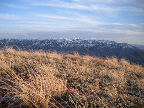 Central Wasatch Mountains 