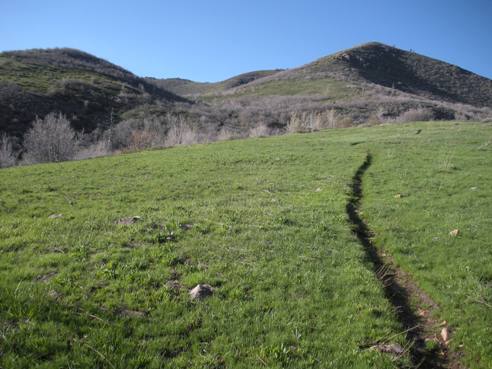 Lookout Peak trail