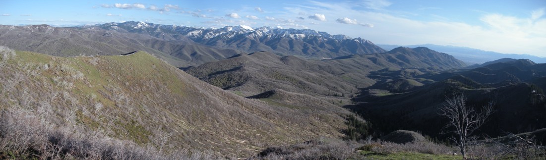 Mountain Dell Canyon