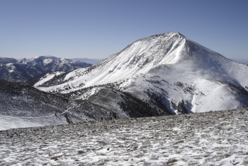 Arc Dome 