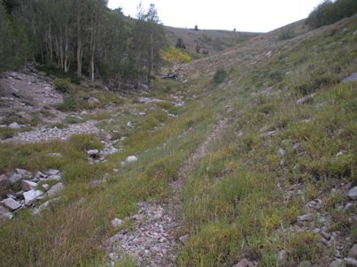 Trail up North Schell