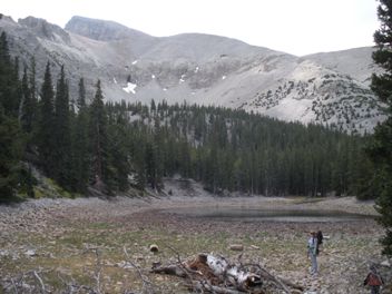 Bristlecone Pine Grove 