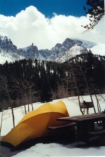 Wheeler Peak summer campground