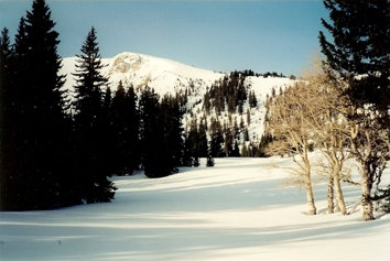 wheeler peak