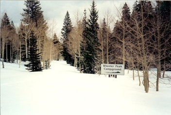 wheeler peak campground