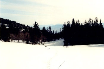 wheeler peak