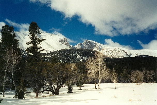 Snowshoeing Wheeler Peak