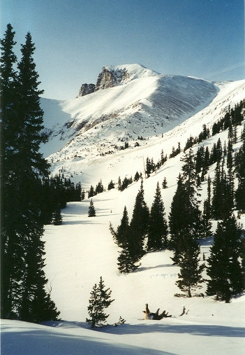 Treeline and Wheeler Peak