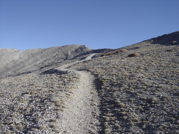 Mount Charleston trail