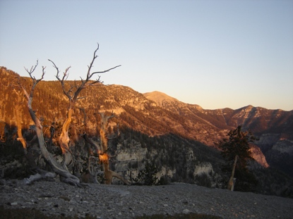 spring mountains