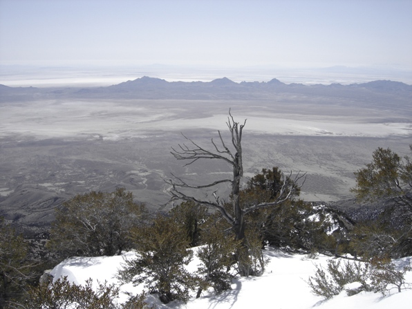 bonneville