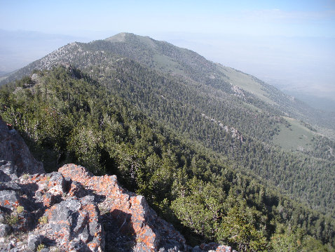 Spruce mountain nevada