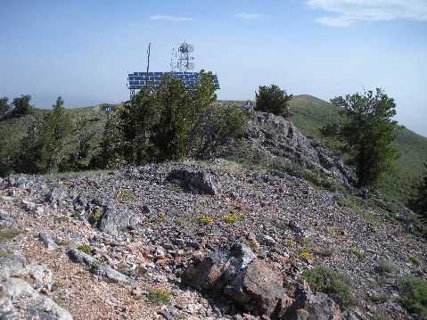 Spruce mountain summit