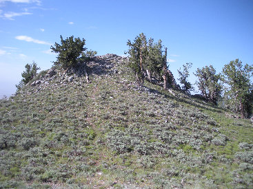 Trail to Spruce Mountain