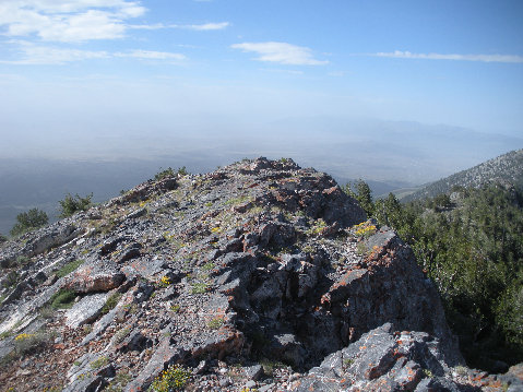 Spruce mountain summit