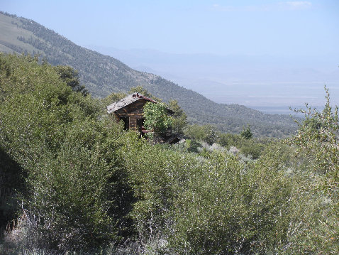 Sprucemont Ghost Town