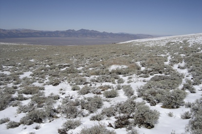 sagebrush trail