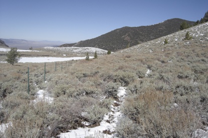 toiyabe hike