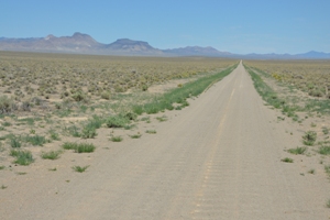 Road to Lunar Crater