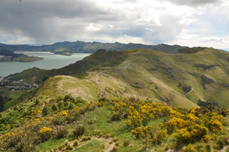 Banks Peninsula