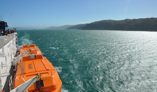 cook strait