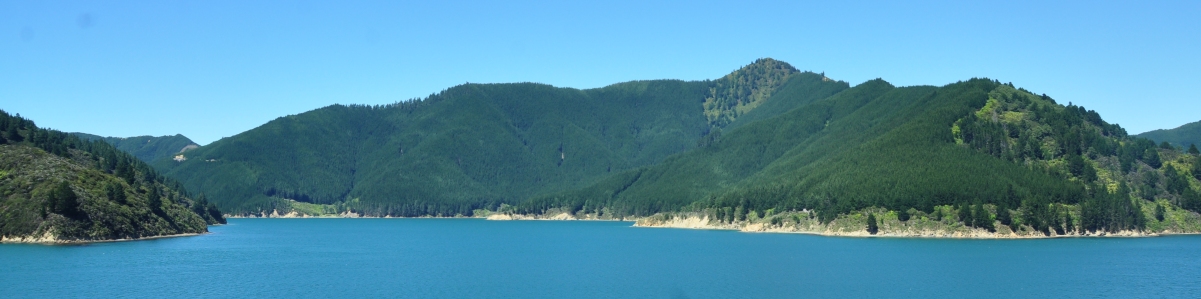 picton ferry