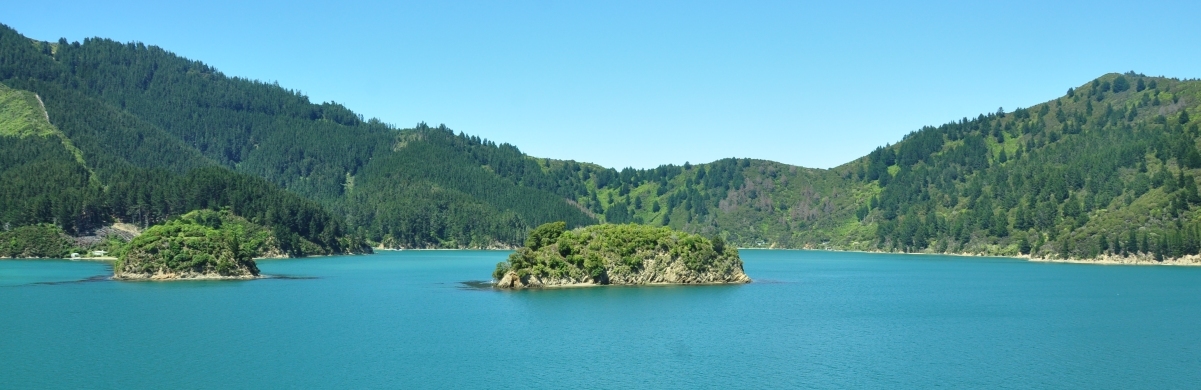 wellington ferry route