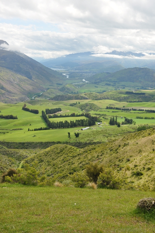 queenstown