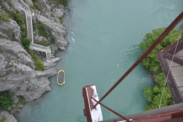 bungy