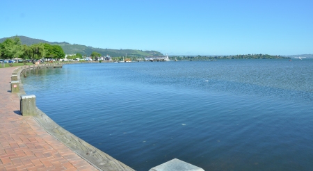 Lake Rotorua 