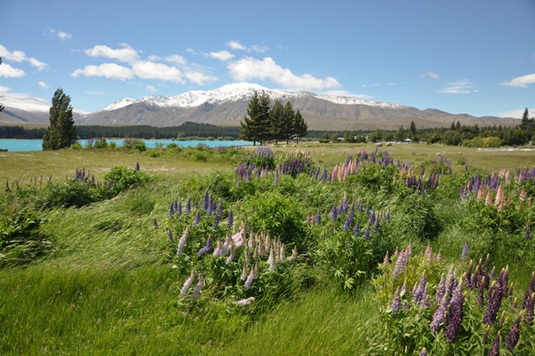 Lake Tekapo 