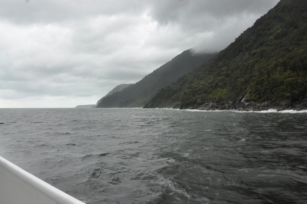 Tasman Sea