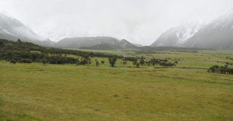 mt cook