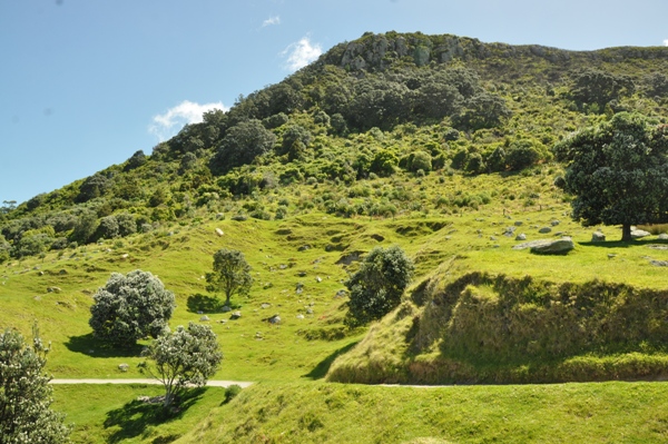 maunganui