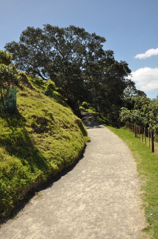 maunganui