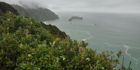 West Coast Drive 