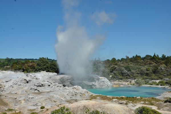 Pohutu Geyser